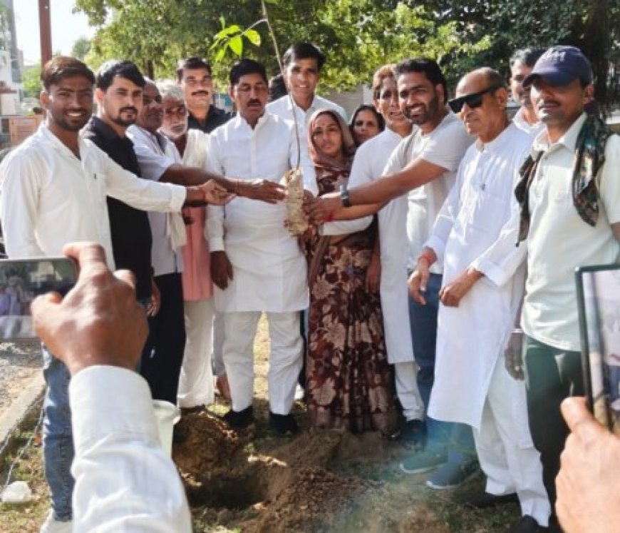 पीसीसी चीफ गोविंद सिंह डोटासरा का जन्मदिन सेवा दिवस के रूप में मनाया:  किया पौधारोपण