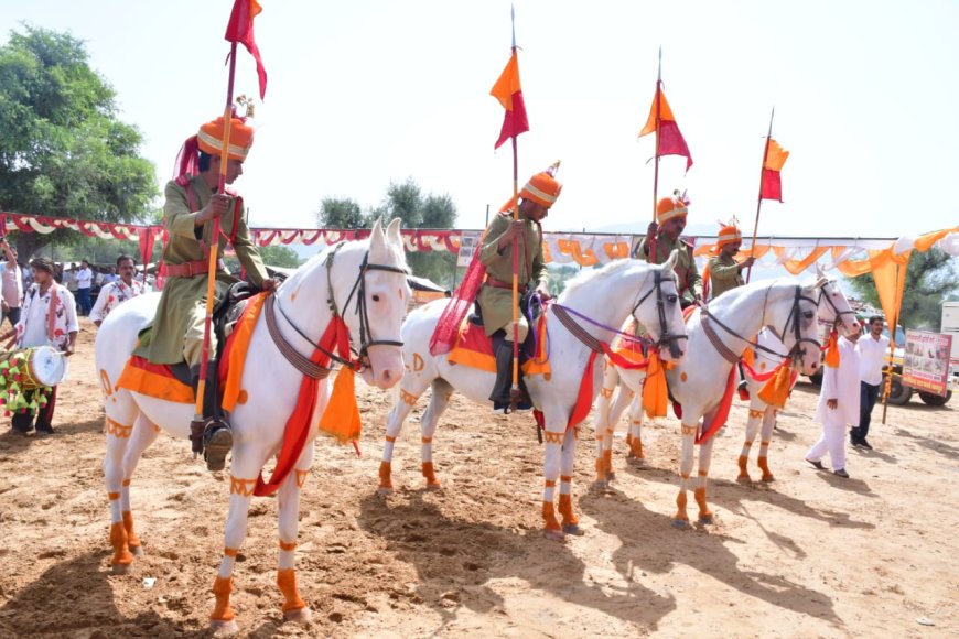 उदयपुरवाटी में सजा शेखावाटी हॉर्स शो: देश के कोने-कोने से पहुंचे अश्वपालक,140 शानदार घोड़ों ने लिया हिस्सा