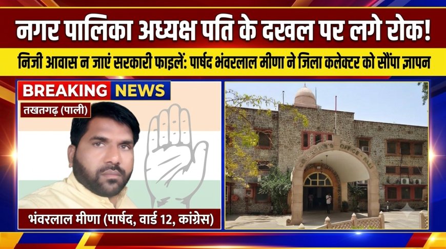 नगर पालिका अध्यक्ष पति के दखल पर लगे रोक, निजी आवास न जाएं सरकारी फाइलें; मांगो को लेकर पार्षद ने जिला कलक्टर को सौंपा ज्ञापन