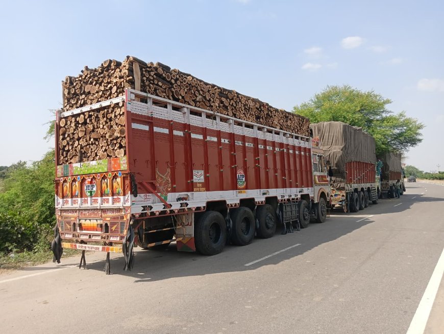 जयपुर नेशनल हाइवे पर बड़ी कार्रवाई: हरी लकड़ी से भरा ट्रक ज़ब्त,चौगुने किराए के लालच में हो रहा था अवैध लकड़ी का खेल,चालक गिरफ्तार