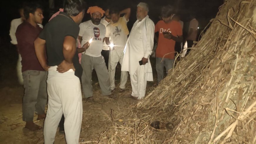 बाजरे की कड़बी में छिपाकर रखी गईं मंदिर की घंटियां, ग्रामीणों में हड़कंप; पुलिस जुटी जांच में