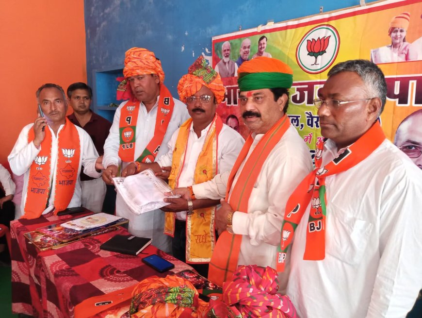 संगठित होकर लड़े जाएंगे पंचायती राज चुनाव: हलैना में भाजपा कार्यकर्ता सम्मेलन आयोजित, टिकट के लिए दावेदारों ने सौंपे आवेदन