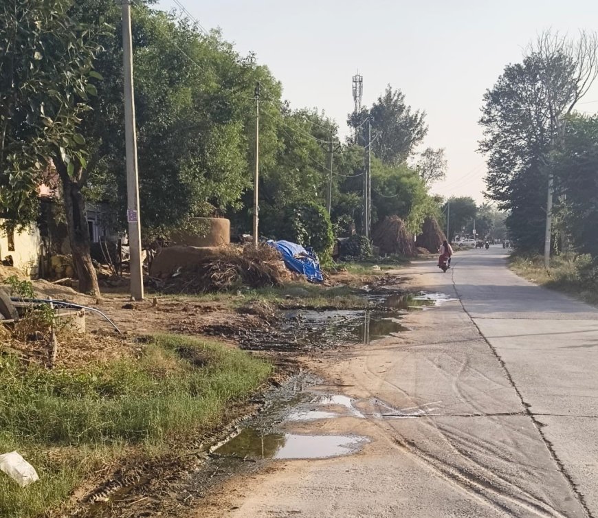 बिचगांवा बस स्टैंड के पास सड़क पर भरा गंदा पानी,बढा हादसों का खतरा;  लक्ष्मणगढ़ रोड पर जलभराव से वाहन चालकों को परेशानी