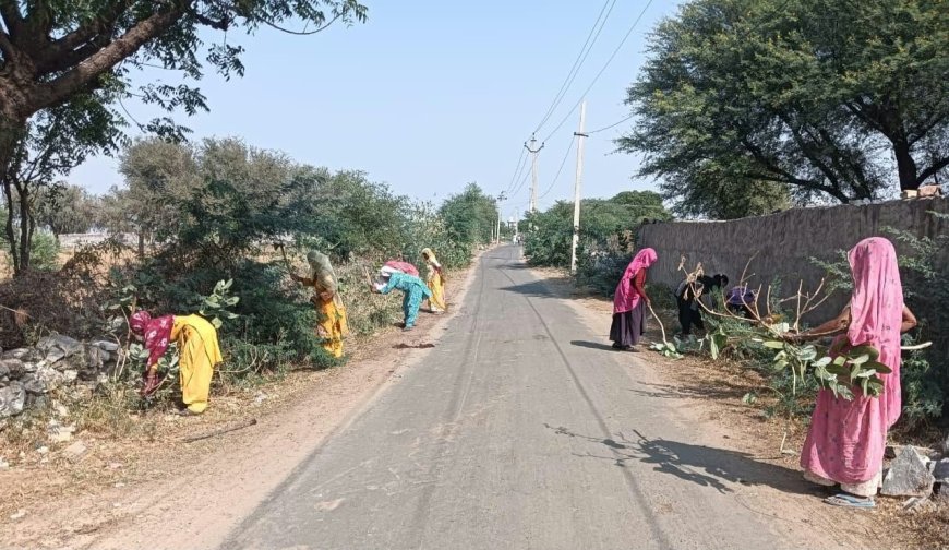 नरेगा श्रमिकों के श्रमदान से चमकी सड़कें: मकराना के वार्ड 60 की बदली सूरत, मिंडकिया रोड पर चलाया गया सघन सफाई अभियान