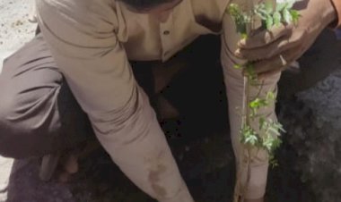 पांसल के मोक्षधाम में  मृतक के परिजनों ने लगाए पौधे, और लिया सुरक्षा का संकल्पप