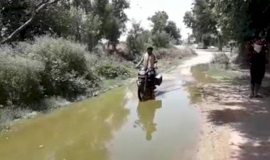 धौंकल नगर में मुख्य मार्ग बना दरिया,ग्रामीण परेशान,मक्खी-मच्छरों ने किया जीना मुहाल