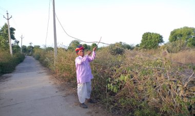 पांसल में विद्युत विभाग को बड़े हादसे का इंतजार