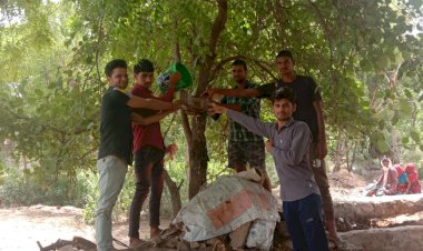 युवाओं को जागरूक कर पक्षियों के लिए परिण्डे लगाए