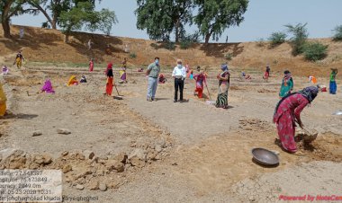 मुख्य कार्यकारी अधिकारी ने नरेगा कार्यों का किया औचक निरीक्षण।