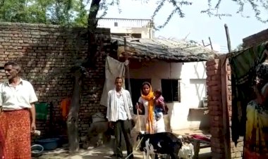 लॉक डाउन मे नट समाज के लोगो के समक्ष खड़ा हुआ  पेट भरने का संकट