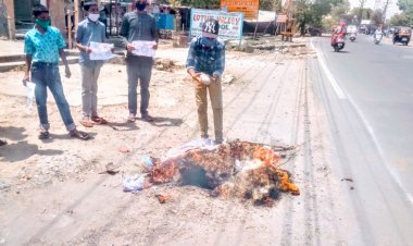 कोरोना का पुतला दहन कर,  कॉलोनी के बालको ने कोरोना से बचाव के लिए मास्क प्रतिरक्षण चूर्ण का वितरण किया