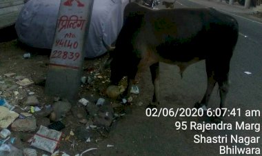 शहर मे मोदी जी के स्वच्छ भारत अभियान की उड़ाई जा रही है धज्जियां