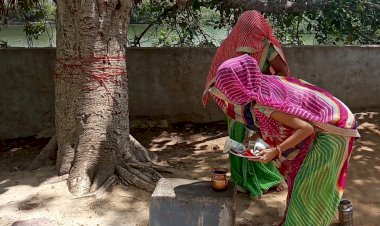 श्रद्धा पूर्वक मनाया गया निर्जला एकादशी पर्व