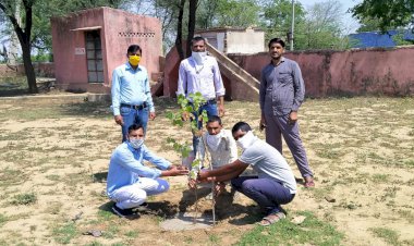 विश्व पर्यावरण दिवस पर पौधे लगाकर दिया प्रकृति बचाने का संदेश