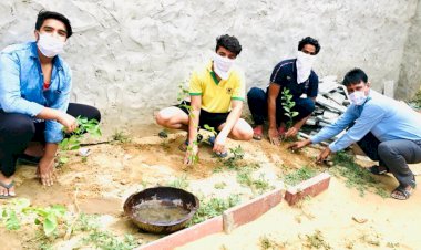 विश्व पर्यावरण दिवस पर नेहरू युवा केंद्र  के स्वयंसेवकों ने लगाए  पौधे