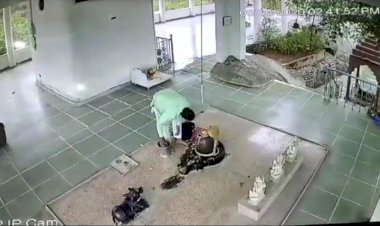 मंगलपुरा के हाथी भाटा आश्रम में चोरी करते हुए एक व्यक्ति सी सी टीवी कैमरे में हुआ कैद