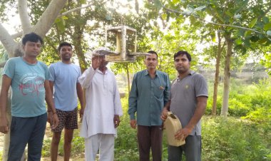 गोगा बाबा मंदिर हमीदपूर मे पक्षियों के लिए परिण्डे लगाए