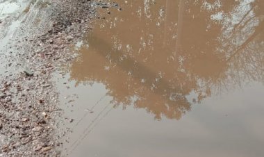 गड्ढों में तब्दील हुआ सड़क मार्ग, वाहन चालक परेशान