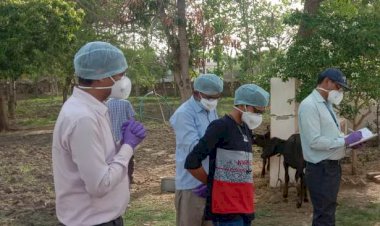 नाथलवाडा गांव मे एक गर्भवती महिला की कोरोना पॉजिटिव आई रिपोर्ट