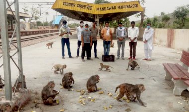 पूर्व राष्ट्रीय कांग्रेस अध्यक्ष राहुल गांधी का जन्मदिन मनाया।