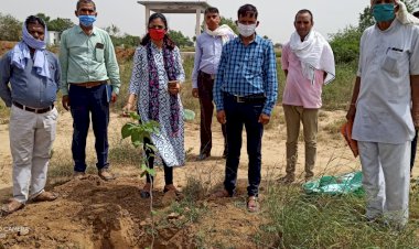 नरेगा कार्य के  निरीक्षण के उपरांत किया पौधरोपण
