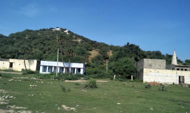 भीषण गर्मी में भी छाई हरियाली