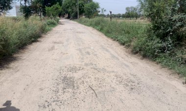 बर्डोद -ढिस डामरीकरण सडक क्षतिग्रस्त 15 गांवों के राहगीर परेशान