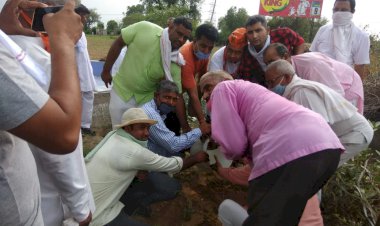 भाजपा कार्यकर्ताओं ने पूर्व प्रदेशाध्यक्ष मदन लाल सैनी की पुण्यतिथि पर वृक्षारोपण कर मनाई