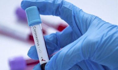 डीग उपखंड में तीन व्यक्ति मिले कोरोना पॉजिटिव, दो डीग कस्बे तथा एक जनूथर का है निवासी