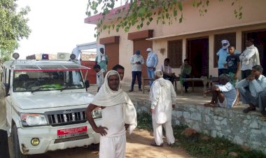 बयाना में पहुंचा टिड्डी दल, किसानों में मचा हडकम्प ,विदेशी कोरोना के बाद अब विदेशी टिड्डीयों से मुकाबला