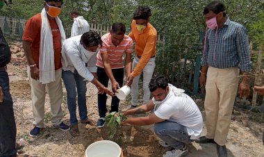 डॉ मुखर्जी की जयंती पर भाजपा कार्यकर्ताओं ने रोपे पौधे