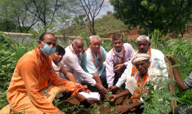 भाजपा कार्यकर्ताओं ने डॉ श्यामा प्रसाद मुखर्जी की जयंती के उपलक्ष में किया पौधारोपण