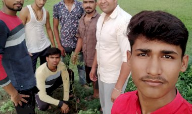 ब्राह्मण महासंघ के कार्यकर्ताओं ने रोपे 101 पौधे