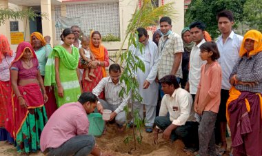 सकट सीएससी परिसर में लगाए औषधीय पौधे