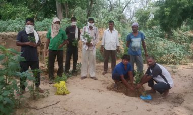 हरा भरा हो गांव हमारा, नरेगा महाव्रक्षारोपण वार्षिकोंत्सव के तहत किया पौधरोपण