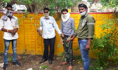 ग्राम पंचायत गुंन्दली में गाँव सार्वजनिक स्थानों पर किया पौधारोपण