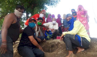 हरियालो मारवाड़ अभियान के तहत नरेगा  श्रमिकों ने किया वृक्षारोपण