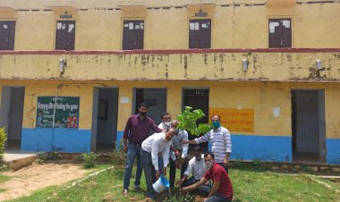 थानागाजी मे वृक्षारोपण कर ट्री गार्ड लगाये