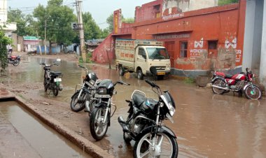 बारिश के बाद बढ़ी उमस व गर्मी से लोग परेशान, सूख रही फसलों को मिला जीवनदान