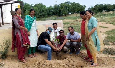 हरित पाठशाला कार्यक्रम के अंतर्गत हुआ वृक्षारोपण