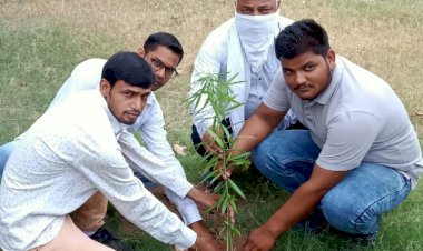 पेड़ पर्यावरण संतुलन का आधार है लुपिन कार्यालय परिसर मे किया वृक्षारोपण