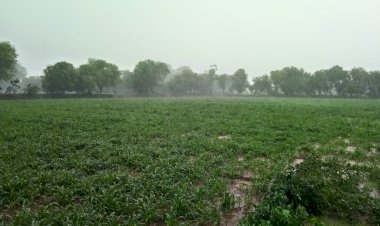 श्रावण मास में पहली तेज बारिश होने पर भूमीपुत्र किसानों के खिंले चेहरे