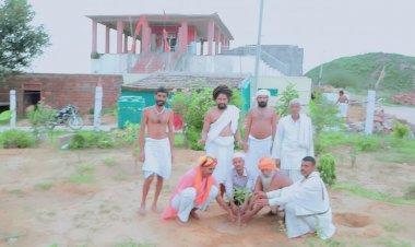 चामड मंदिर परिसर में वृक्षारोपण किया