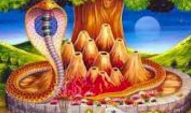 सावन के महीने में श्रद्धा से मनाया नागपंचमी का पर्व