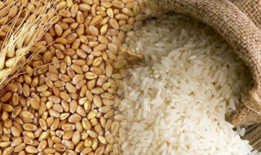 सरकारी कर्मचारी,पेंशनर खाद्य सुरक्षा योजना में नाम जुडवाकर लगा रहे सरकार को चूना