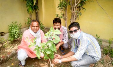 भारतीय विकास मोर्चा ने किया पौधारोपण