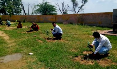 रूपवास उपखंड मे ग्रामीणों ने किया पौधारोपण