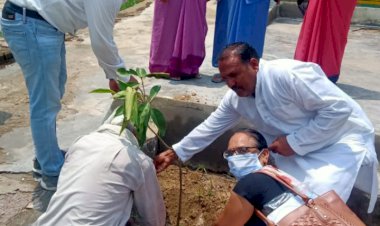 आंगनवाड़ी केंद्रों पर अब गर्भवती और धात्री महिलाओं को मिल सकेंगे फल और हरी सब्जियां