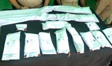 11 हथियार व 18 जिंदा कारतूस सहित   अंतर्राज्यीय हथियार तस्कर आसू मेव गिरफ्तार