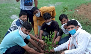 यूथ कॉंग्रेस के कार्यकर्ताओ ने राष्ट्रीय सचिव जुबेर खान के जन्मदिन पर किया वृक्षारोपण